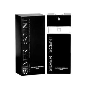 Silver Scent – جاذبية فضية لافتة